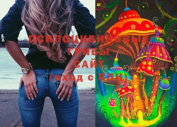 тгк Новокубанск