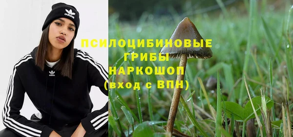 дживик Новозыбков