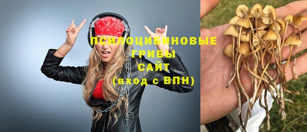 СК Нефтегорск