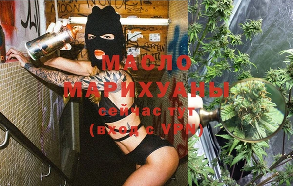 кокс Гатчина