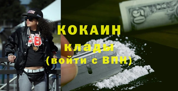 дживик Новозыбков