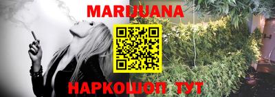 трава Кингисепп