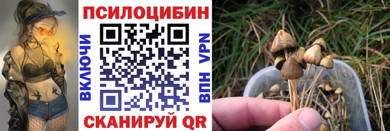 Псилоцибиновые грибы Psilocybine cubensis  сколько стоит  Заинск 