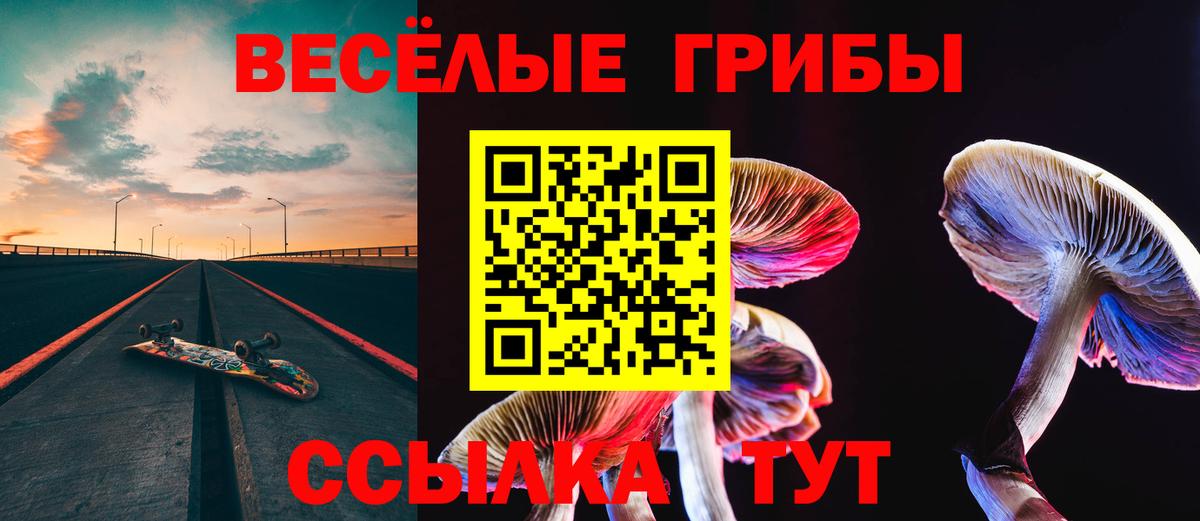 Псилоцибиновые грибы MAGIC MUSHROOMS  Вход с VPN  Заинск 